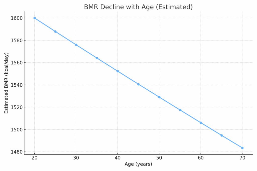 Line chart showing BMR decline with age, starting from 1600 kcal at age 20 and gradually decreasing by 1.5% per decade
