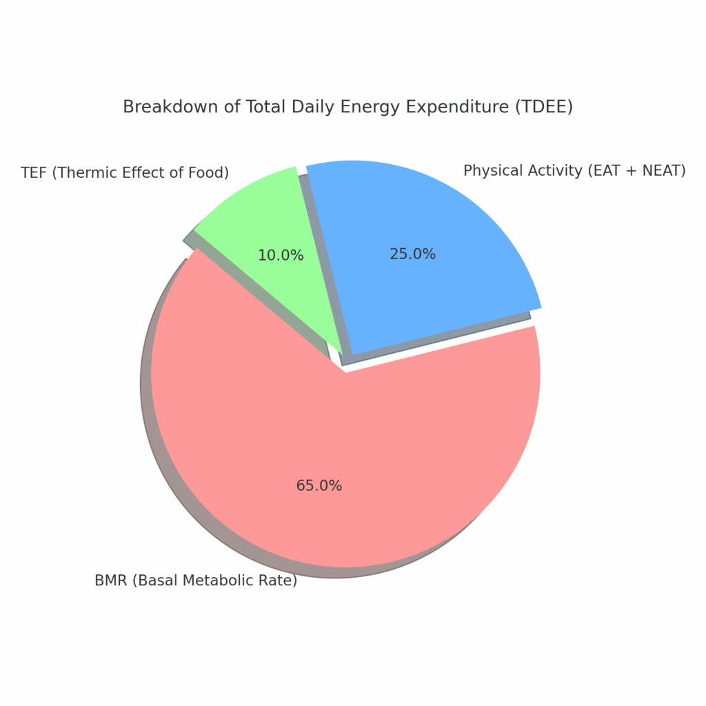 Pie chart showing the breakdown of Total Daily Energy Expenditure with BMR at 65%, Physical Activity at 25%, and TEF at 10%