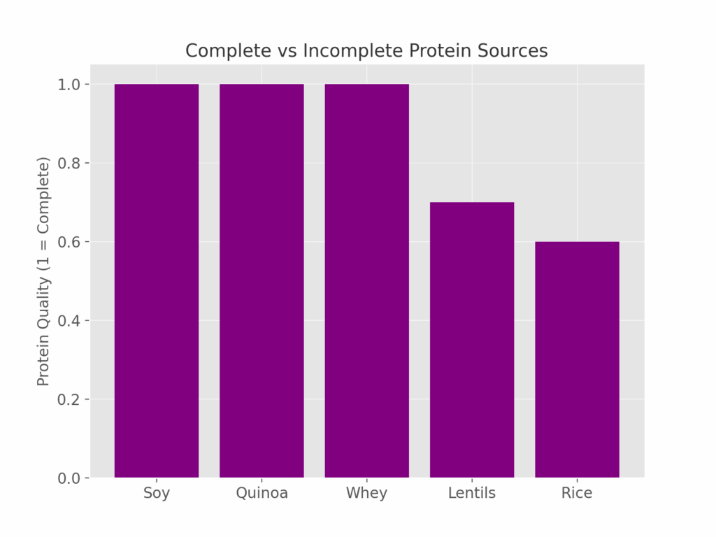 Vegan protein meal examples